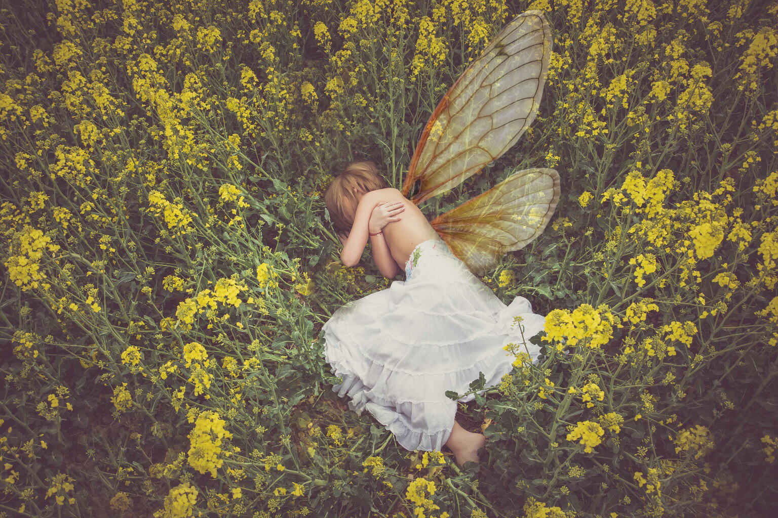 We Are Doing Midsummer Eve Fairy Activations…