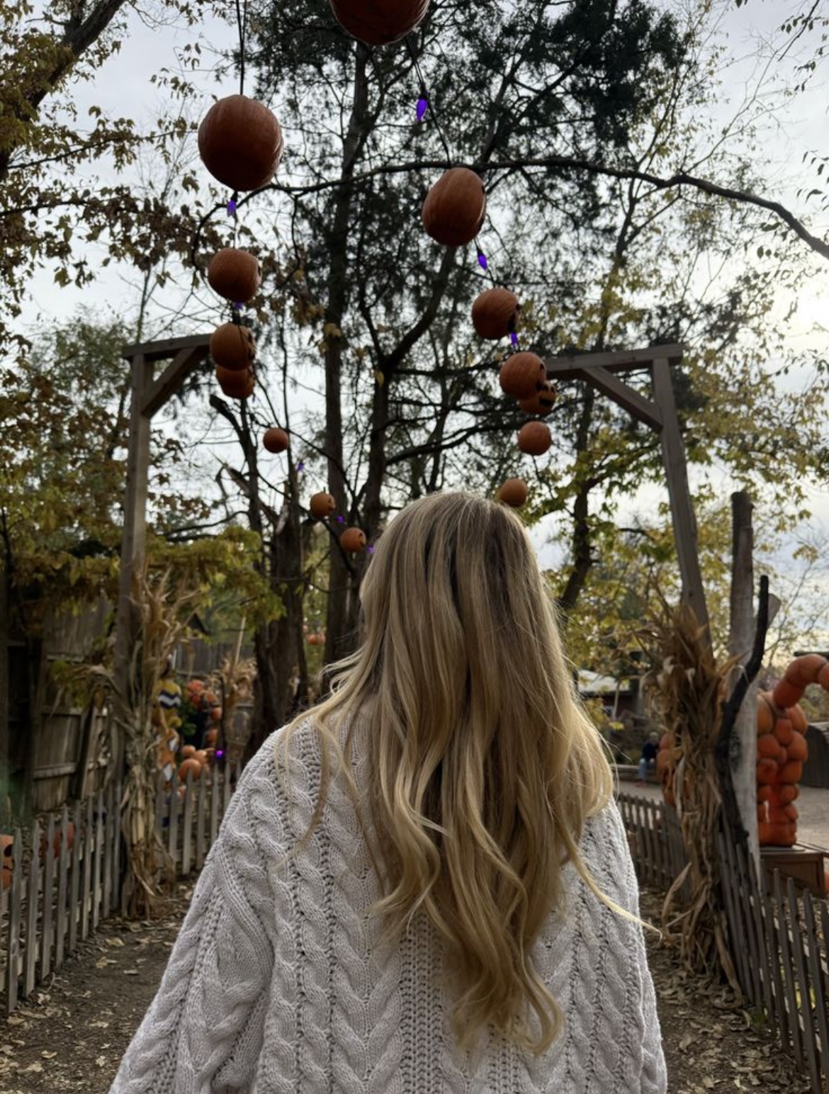 I’m Doing Healings And Activations Today…