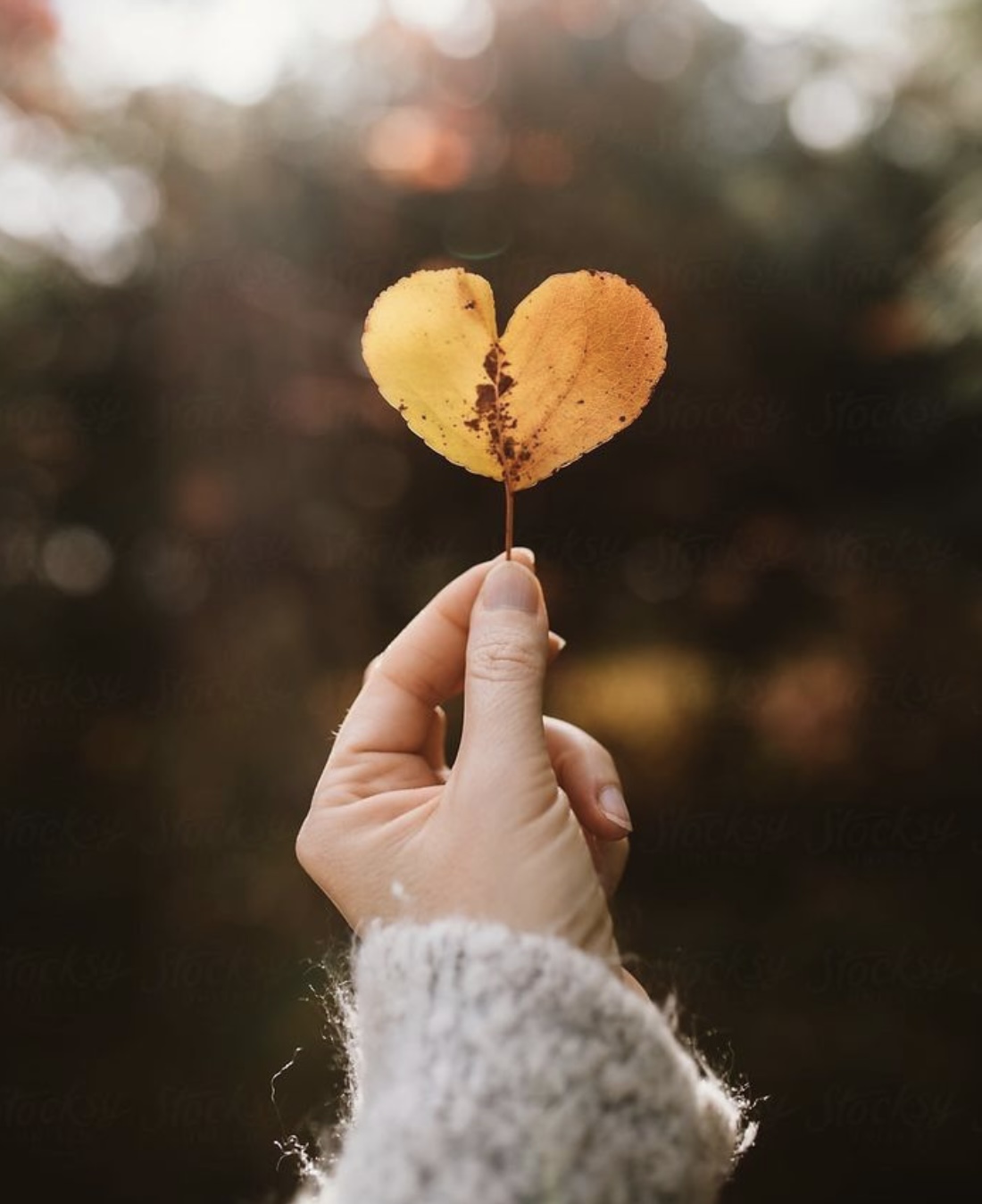 I’m Doing Healings, Clearings, And Activations Today…