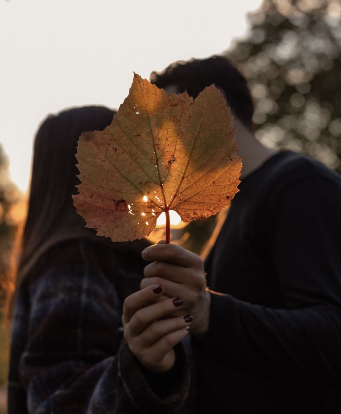 I’m Doing Healings, Clearings, and Activations Today…